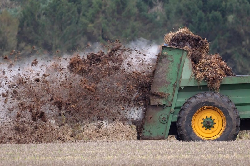 Magic Fertilizers